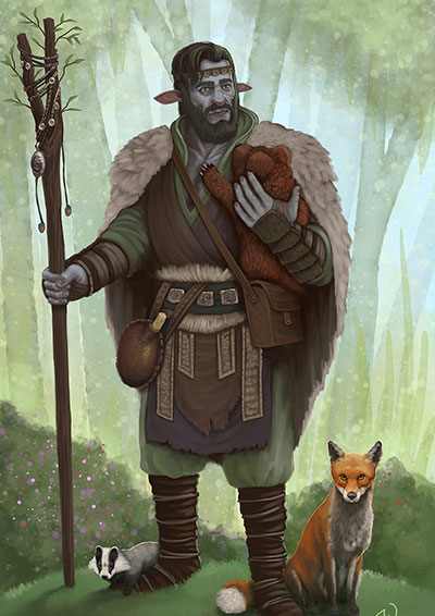 Firbolg Druid